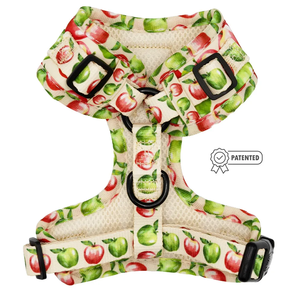 Dog Adjustable Harness - Apple of My Eye