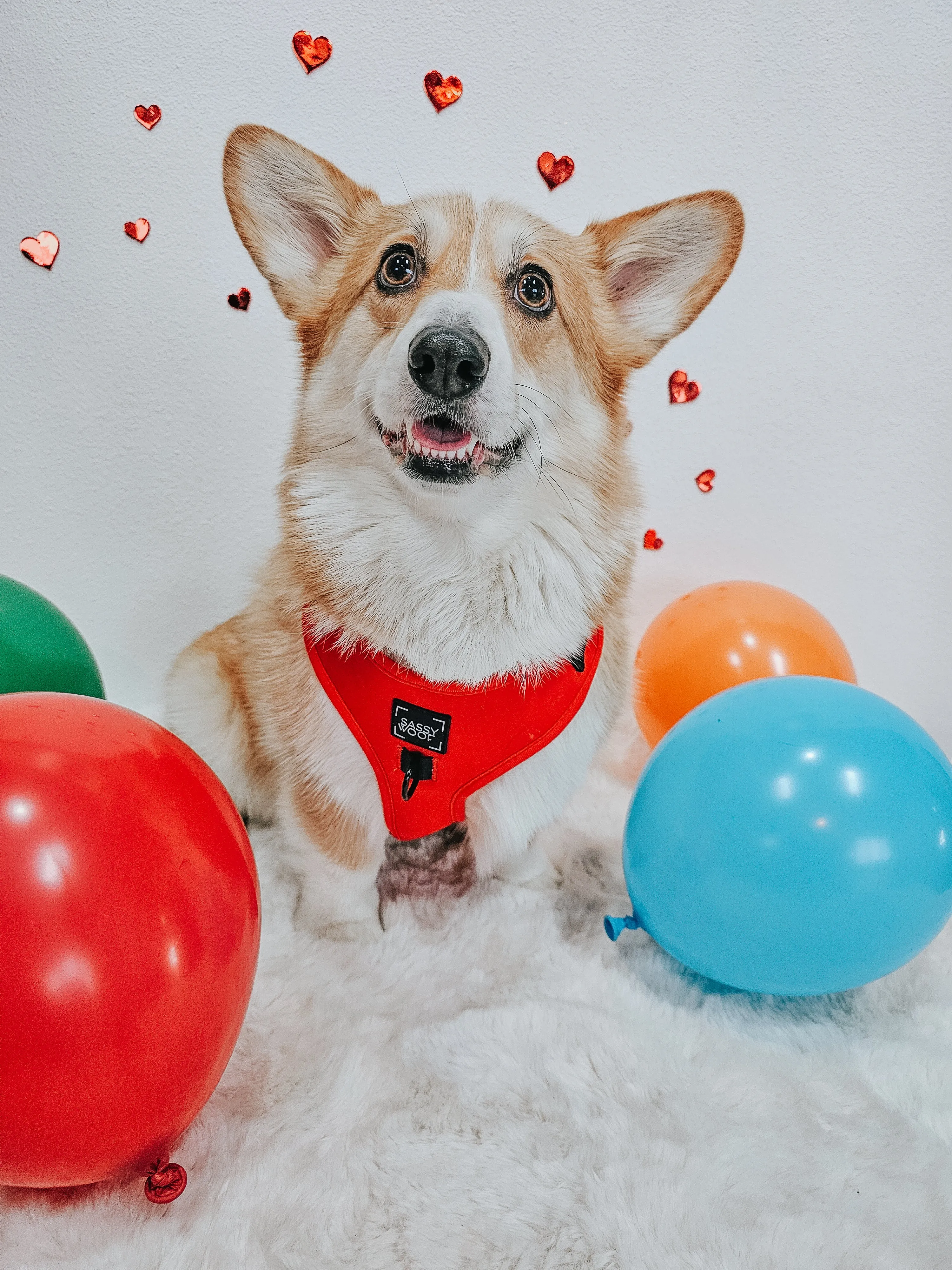 Dog Adjustable Harness - Neon Red