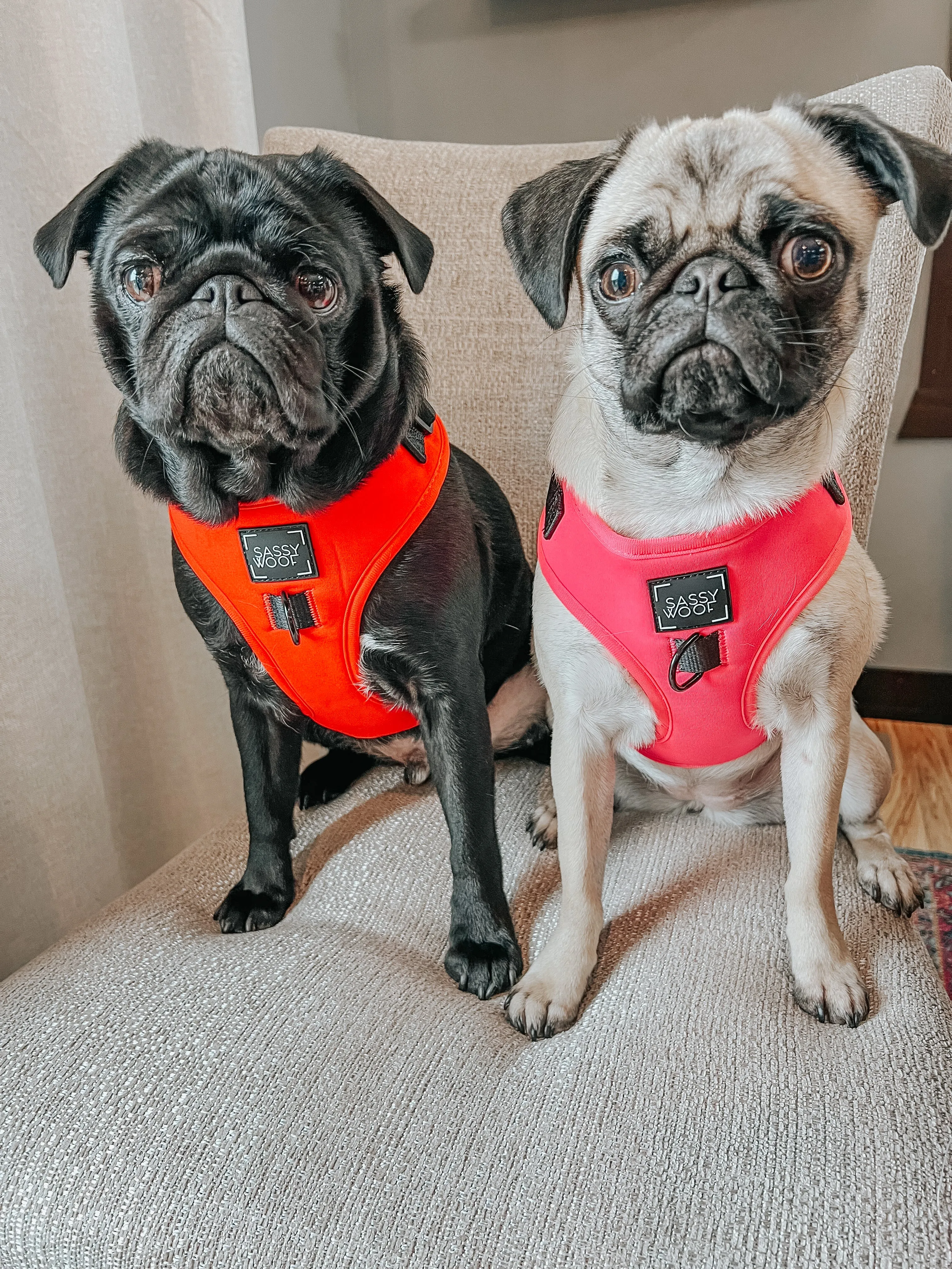 Dog Adjustable Harness - Neon Red