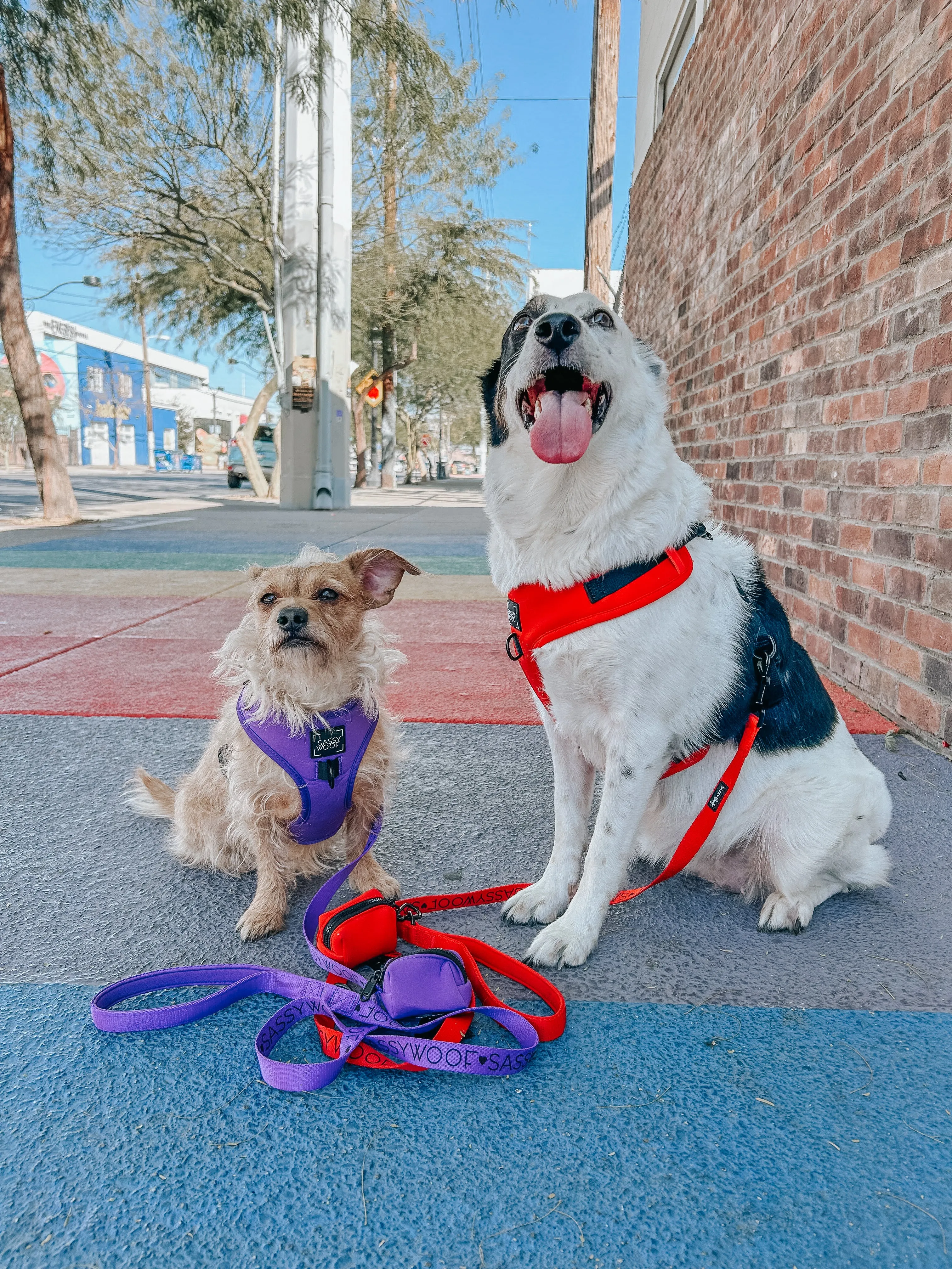 Dog Adjustable Harness - Neon Red