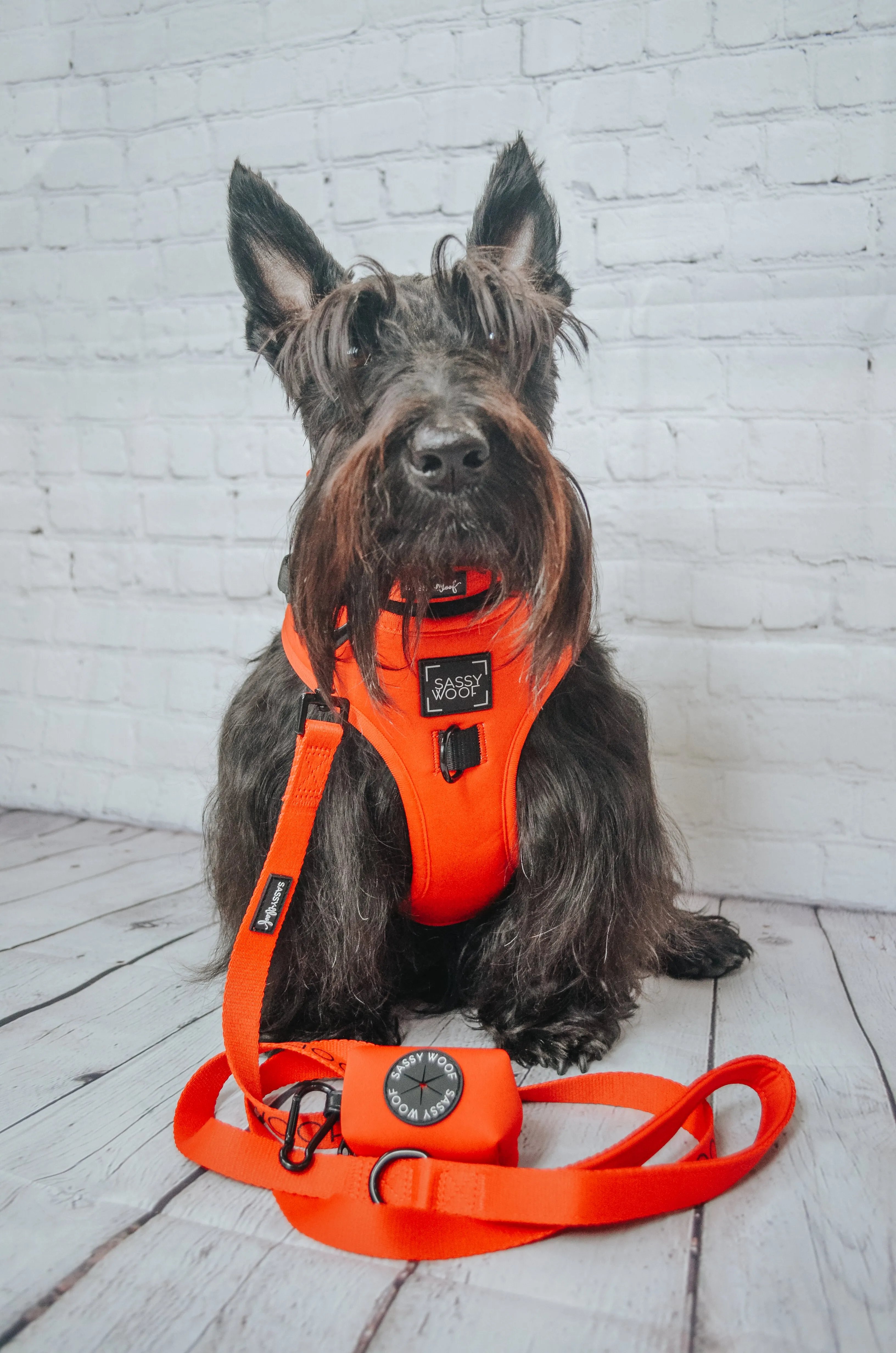 Dog Adjustable Harness - Neon Red