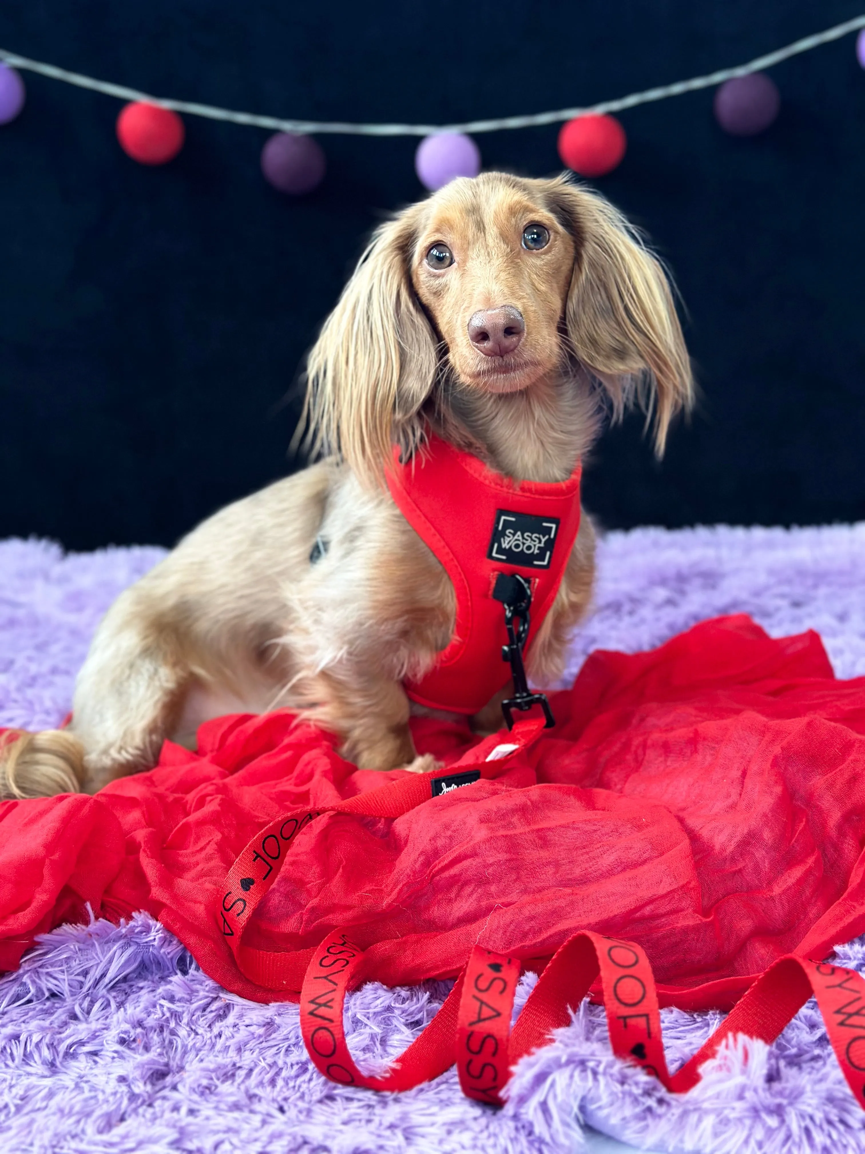 Dog Adjustable Harness - Neon Red