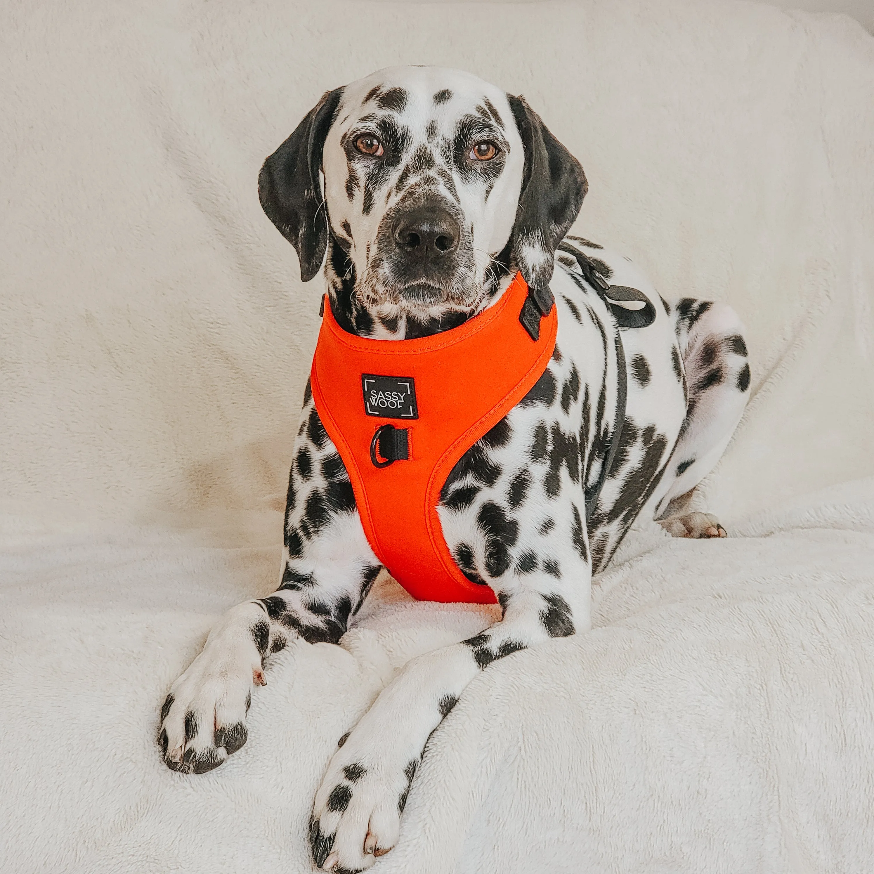 Dog Adjustable Harness - Neon Red