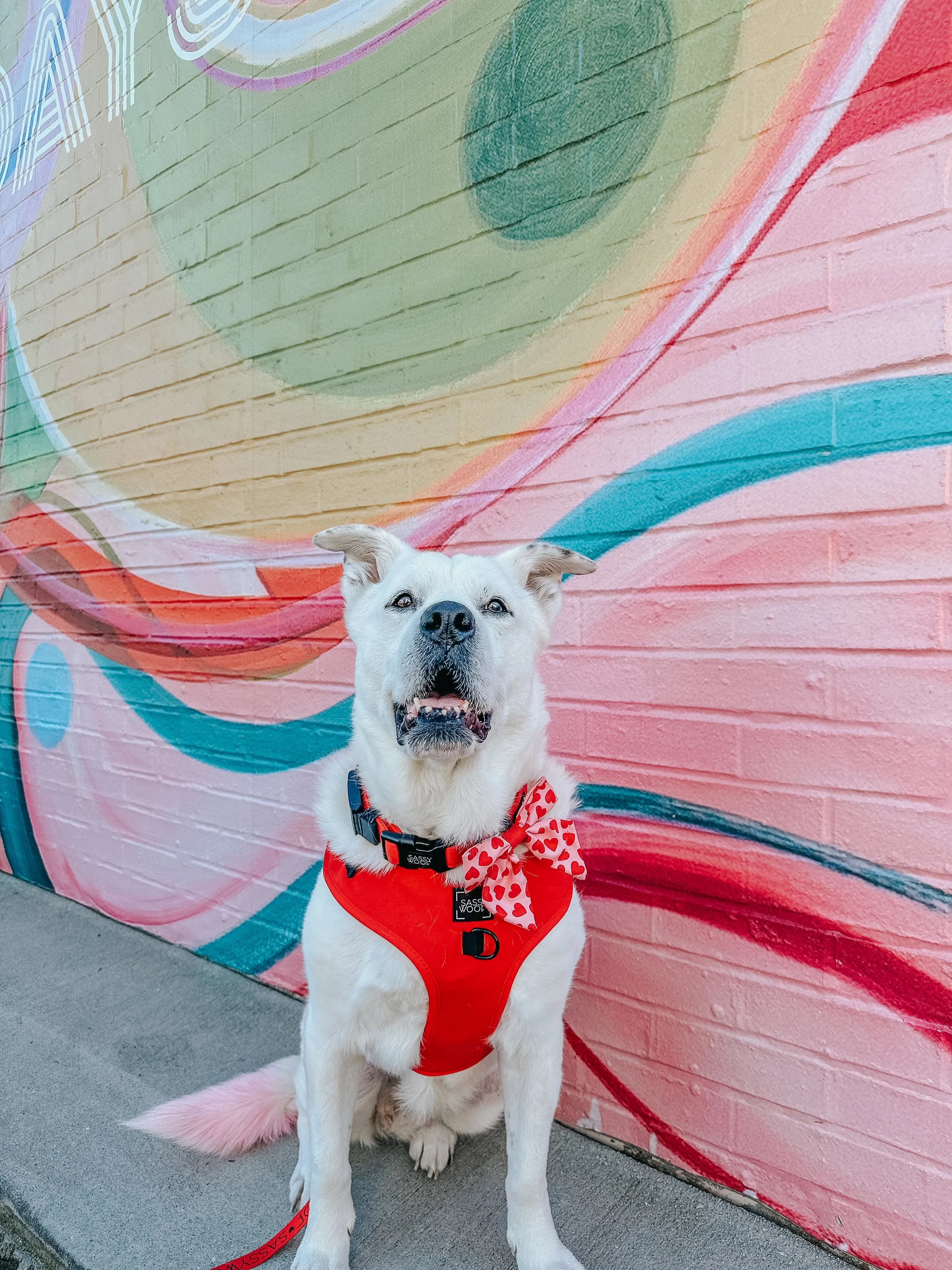 Dog Adjustable Harness - Neon Red