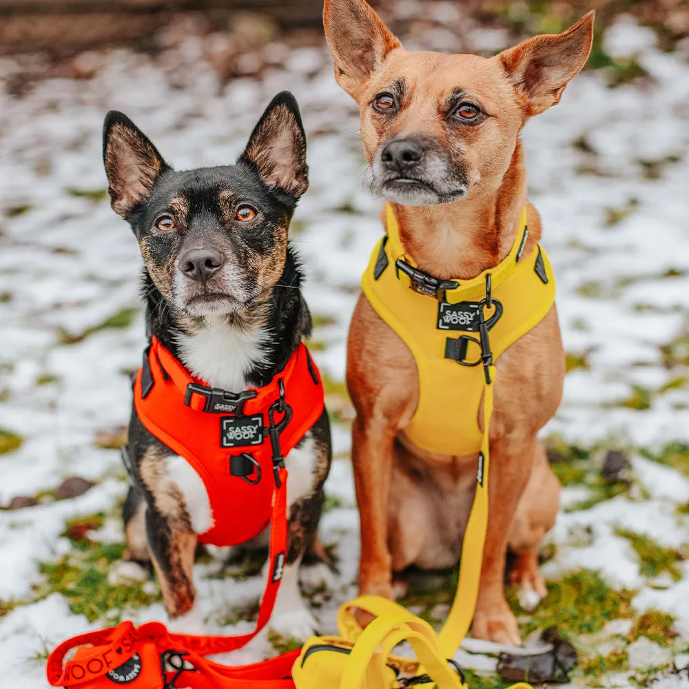 Dog Adjustable Harness - Neon Red