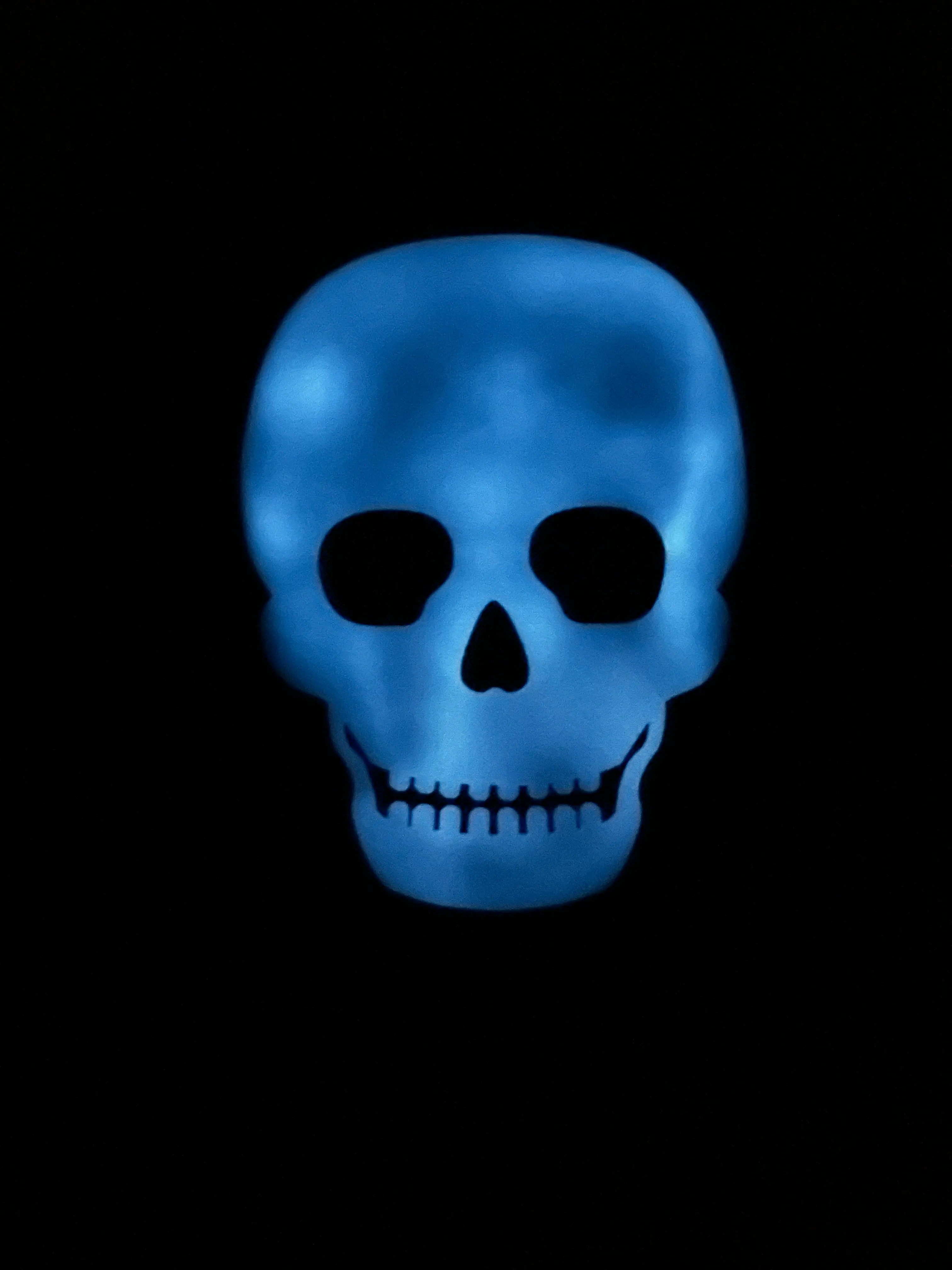 Preorder Glow in the Dark Skull Sweatshirt